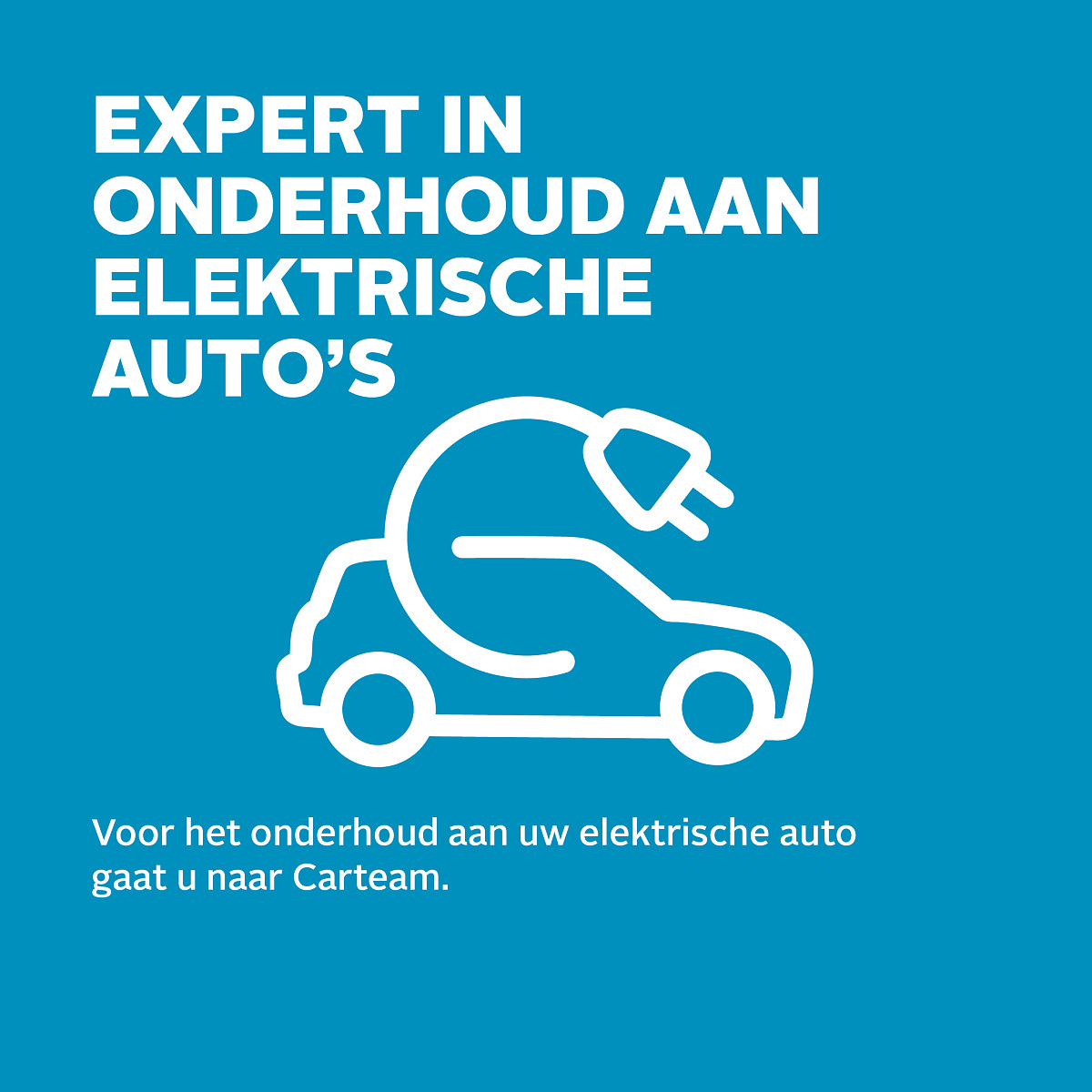 Carteam Garagebedrijf Van Den Bergh