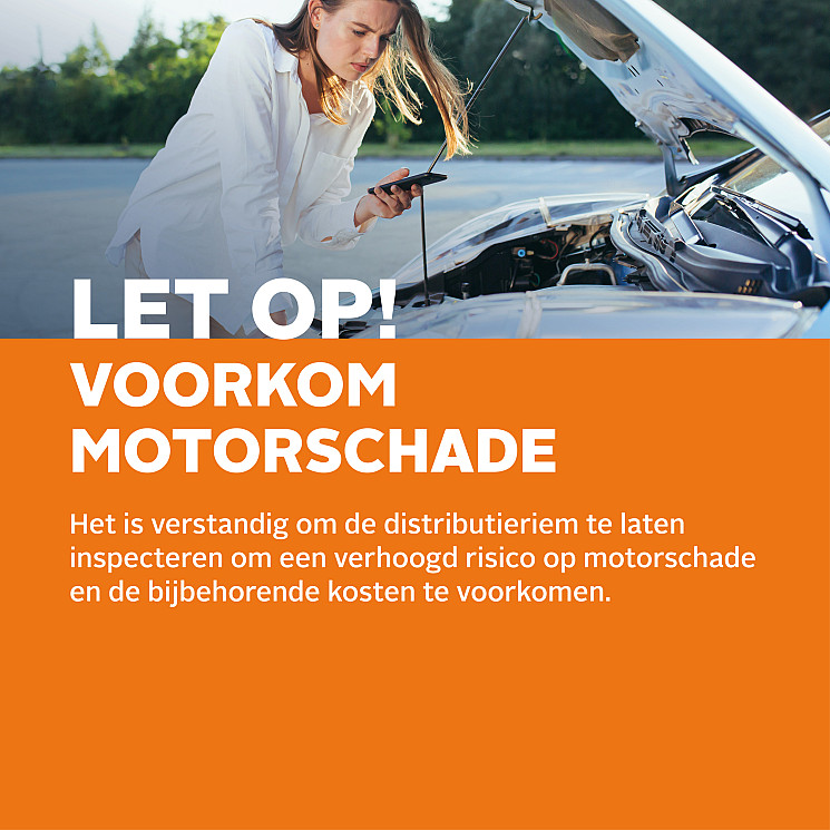 Carteam Garagebedrijf Van Den Bergh
